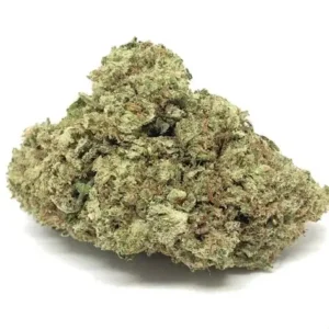 Laughing Buddha Mango