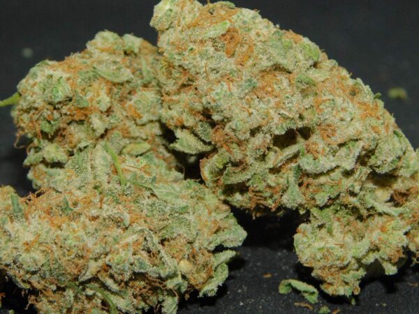 Ghost Train Haze